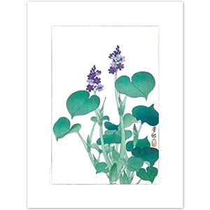 Wee Blue Coo Blooming Hosta Ohara Koson Art Print Canvas Premium Wall Decor Poster Wee Blue Coo Blooming Hosta Ohara Koson Art Print Canvas Premium Wall Decor Poster