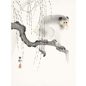 Wee Blue Coo Monkey Tree Branch Ohara Koson Large Wall Art Print Canvas Premium Poster Wee Blue Coo Monkey Tree Branch Ohara Koson Large Wall Art Print Canvas Premium Poster