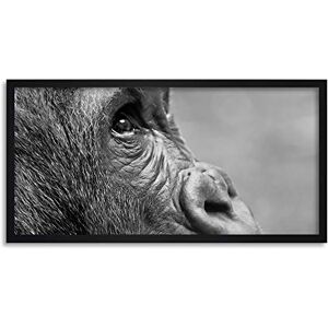 Artery8 Gorilla Ape Face Head Photo Framed Wall Art Print Long 25X12 Inch Artery8 Gorilla Ape Face Head Photo Framed Wall Art Print Long 25X12 Inch