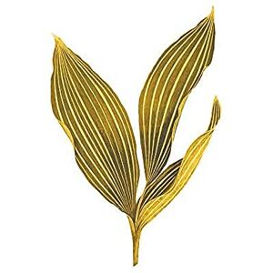 Wee Blue Coo Botanics Gold And Grey Stripes Unframed Art Print Poster Wall Decor 12x16 inch Wee Blue Coo Botanics Gold And Grey Stripes Unframed Art Print Poster Wall Decor 12x16 inch