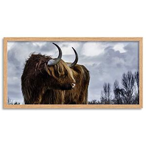 Wee Blue Coo Scottish Highland Coo Cow Long Panel Framed Wall Art Print Wee Blue Coo Scottish Highland Coo Cow Long Panel Framed Wall Art Print