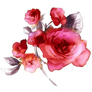 Wee Blue Coo Flower Roses Watercolour Large Wall Art Print Canvas Premium Poster Wee Blue Coo Flower Roses Watercolour Large Wall Art Print Canvas Premium Poster