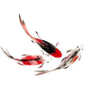 Wee Blue Coo Japanese Koi Fish Black And Red Large Wall Art Print Canvas Premium Poster Wee Blue Coo Japanese Koi Fish Black And Red Large Wall Art Print Canvas Premium Poster