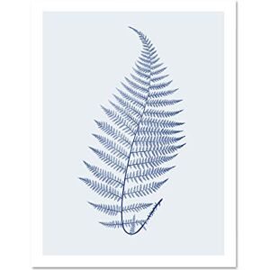 Wee Blue Coo Botanics Cobalt Fern Alpestre Large White Framed Art Print Wall Poster 18x24 inch Wee Blue Coo Botanics Cobalt Fern Alpestre Large White Framed Art Print Wall Poster 18x24 inch