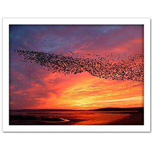 Artery8 Purple Orange Sunset Flock Birds Landscape Photo Artwork Framed Wall Art Print 18X24 Inch Artery8 Purple Orange Sunset Flock Birds Landscape Photo Artwork Framed Wall Art Print 18X24 Inch