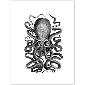 Wee Blue Coo Octopus Vintage Illustration Art Print Canvas Premium Wall Decor Poster Wee Blue Coo Octopus Vintage Illustration Art Print Canvas Premium Wall Decor Poster