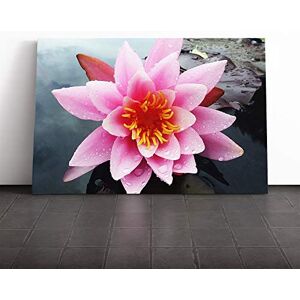Big Box Art Canvas Print Wall Art Flower Pink Water Lily (5) Mounted and Stretched Box Frame Picture Home Decor for Kitchen, Living, Dining Room, Bedroom, Hallway, Multi-Colour, 24x16 Inch Big Box Art Canvas Print Wall Art Flower Pink Water Lily (5) Mounted and Stretched Box Frame Picture Home Decor for Kitchen, Living, Dining Room, Bedroom, Hallway, Multi-Colour, 24x16 Inch