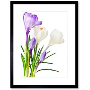 Wee Blue Coo PURPLE WHITE SPRING FLOWERS BLOOM BLACK FRAME FRAMED ART PRINT PICTURE B12X8069 Wee Blue Coo PURPLE WHITE SPRING FLOWERS BLOOM BLACK FRAME FRAMED ART PRINT PICTURE B12X8069
