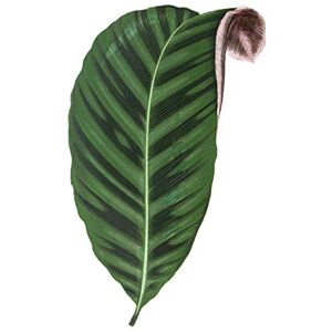 Wee Blue Coo Leaf Jungle Paradise Large Wall Art Print Canvas Premium Poster Wee Blue Coo Leaf Jungle Paradise Large Wall Art Print Canvas Premium Poster