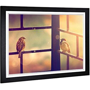 Big Box Art Framed Print of Two Birds Design Wall Art Picture Home Decor for Kitchen, Living, Dining Room, Lounge, Bedroom, Hallway, Office, Black, A2 / 24.5x18 Inch / 62x45cm Big Box Art Framed Print of Two Birds Design Wall Art Picture Home Decor for Kitchen, Living, Dining Room, Lounge, Bedroom, Hallway, Office, Black, A2 / 24.5x18 Inch / 62x45cm