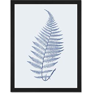 Wee Blue Coo Botanics Cobalt Fern Alpestre Large Black Framed Art Print Wall Poster 18x24 inch Wee Blue Coo Botanics Cobalt Fern Alpestre Large Black Framed Art Print Wall Poster 18x24 inch