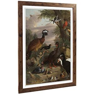 Big Box Art Framed Print of Melchior d'Hondecoeter Birds 2 Design Wall Art Picture Home Decor for Kitchen, Living, Dining Room, Bedroom, Hallway, Office, Walnut, A2 / 24.5x18 Inch / 62x45cm Big Box Art Framed Print of Melchior d'Hondecoeter Birds 2 Design Wall Art Picture Home Decor for Kitchen, Living, Dining Room, Bedroom, Hallway, Office, Walnut, A2 / 24.5x18 Inch / 62x45cm