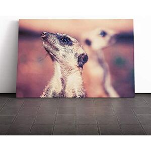 Big Box Art Canvas Print Wall Art Meerkats Mounted and Stretched Box Frame Picture Home Decor for Kitchen, Living, Dining Room, Bedroom, Hallway, Multi-Colour, 30x20 Inch Big Box Art Canvas Print Wall Art Meerkats Mounted and Stretched Box Frame Picture Home Decor for Kitchen, Living, Dining Room, Bedroom, Hallway, Multi-Colour, 30x20 Inch