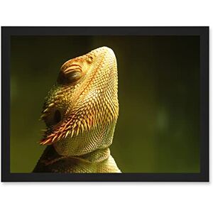Artery8 - Bearded Dragon - A4 - Framed Wall Art Artery8 - Bearded Dragon - A4 - Framed Wall Art