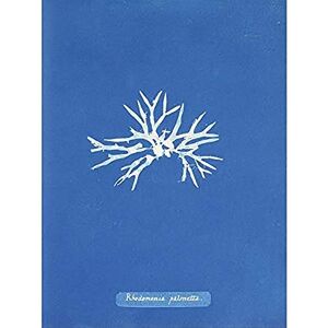 Artery8 Atkins British Algae Photo Dwarf Rhodymenia Unframed Wall Art Print Poster Home Decor Premium Artery8 Atkins British Algae Photo Dwarf Rhodymenia Unframed Wall Art Print Poster Home Decor Premium