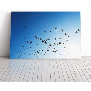 Big Box Art Pigeons Birds Flying Canvas Print Gallery Wrapped 30mm Frame Wall Art 30x20 inches Ready to Hang Modern Bird Picture Living Room Bedroom Lounge Office Big Box Art Pigeons Birds Flying Canvas Print Gallery Wrapped 30mm Frame Wall Art 30x20 inches Ready to Hang Modern Bird Picture Living Room Bedroom Lounge Office