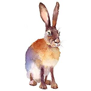 Wee Blue Coo Hare Watercolour Isolated Art Print Canvas Premium Wall Decor Poster Wee Blue Coo Hare Watercolour Isolated Art Print Canvas Premium Wall Decor Poster