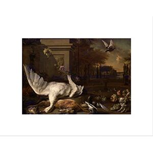 Wee Blue Coo Jan Weenix Dutch Still Life Swan Game Country Estate Wall Art Print Wee Blue Coo Jan Weenix Dutch Still Life Swan Game Country Estate Wall Art Print