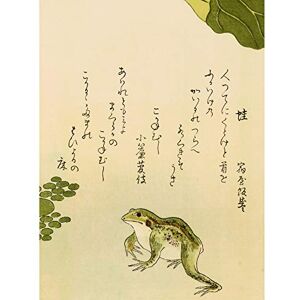 Artery8 Kitagawa Utamaro Frog Japanese Painting Premium Wall Art Canvas Print 18X24 Inch Artery8 Kitagawa Utamaro Frog Japanese Painting Premium Wall Art Canvas Print 18X24 Inch