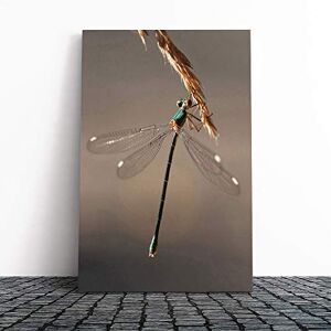 Big Box Art Dragonfly Canvas Print Gallery Wrapped 30mm Frame Wall Art 20x14 inches Ready to Hang Modern Animals Picture Living Room Bedroom Lounge Office Big Box Art Dragonfly Canvas Print Gallery Wrapped 30mm Frame Wall Art 20x14 inches Ready to Hang Modern Animals Picture Living Room Bedroom Lounge Office