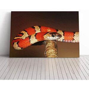 Big Box Art King Snake Canvas Print Gallery Wrapped 30mm Frame Wall Art 24x16 inches Ready to Hang Modern Animals Picture Living Room Bedroom Lounge Office Big Box Art King Snake Canvas Print Gallery Wrapped 30mm Frame Wall Art 24x16 inches Ready to Hang Modern Animals Picture Living Room Bedroom Lounge Office