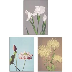 Artery8 Set of 3 Vintage Japanese Floral Botanical Flowers Wall Art Prints A3 Size Living Room Decor Artery8 Set of 3 Vintage Japanese Floral Botanical Flowers Wall Art Prints A3 Size Living Room Decor