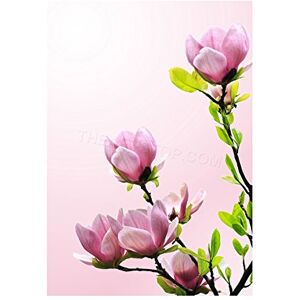 Wee Blue Coo Photo Plant Nature Flower Tree Blossom Magnolia Wall Art Print Wee Blue Coo Photo Plant Nature Flower Tree Blossom Magnolia Wall Art Print