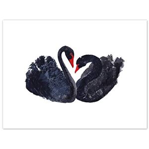 Wee Blue Coo Black Swans Painting Art Print Canvas Premium Wall Decor Poster Wee Blue Coo Black Swans Painting Art Print Canvas Premium Wall Decor Poster