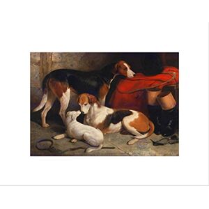 Wee Blue Coo Animals Foxhounds Terrier Hunt Hunting Dogs Barraud Wall Art Print Wee Blue Coo Animals Foxhounds Terrier Hunt Hunting Dogs Barraud Wall Art Print