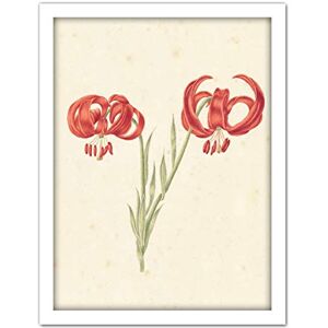 Artery8 Lintheimer Red Lily Flowers Petals Painting Artwork Framed Wall Art Print 18X24 Inch Artery8 Lintheimer Red Lily Flowers Petals Painting Artwork Framed Wall Art Print 18X24 Inch