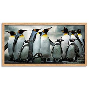 Wee Blue Coo Emperor Penguins Chick Bird Long Panel Framed Wall Art Print Wee Blue Coo Emperor Penguins Chick Bird Long Panel Framed Wall Art Print