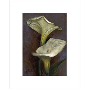 Wee Blue Coo PAINTING STILL LIFE FLOWER TIFFANY CALLA LILIES FRAMED ART PRINT MOUNT B12X3696 Wee Blue Coo PAINTING STILL LIFE FLOWER TIFFANY CALLA LILIES FRAMED ART PRINT MOUNT B12X3696