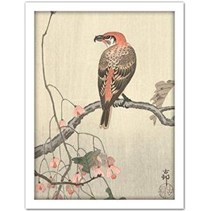 Artery8 Ohara Koson Crossbill On Tree Branch Japanese Artwork Framed Wall Art Print 18X24 Inch Artery8 Ohara Koson Crossbill On Tree Branch Japanese Artwork Framed Wall Art Print 18X24 Inch