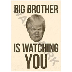 Wee Blue Coo Donald Trump Big Brother Is Watching You Wall Art Print Wee Blue Coo Donald Trump Big Brother Is Watching You Wall Art Print