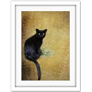 Wee Blue Coo Black Cat Yellow Flower Artwork Framed Wall Art Print 18X24 Inch Wee Blue Coo Black Cat Yellow Flower Artwork Framed Wall Art Print 18X24 Inch