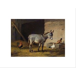 Wee Blue Coo Painting Animal Verboeckhoven Donkey Chicken Barn Wall Art Print Wee Blue Coo Painting Animal Verboeckhoven Donkey Chicken Barn Wall Art Print