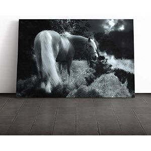 Big Box Art White Horse Forest Canvas Print Gallery Wrapped 30mm Frame Wall Art 30x20 inches Ready to Hang Modern Animals Picture Living Room Bedroom Lounge Office Big Box Art White Horse Forest Canvas Print Gallery Wrapped 30mm Frame Wall Art 30x20 inches Ready to Hang Modern Animals Picture Living Room Bedroom Lounge Office