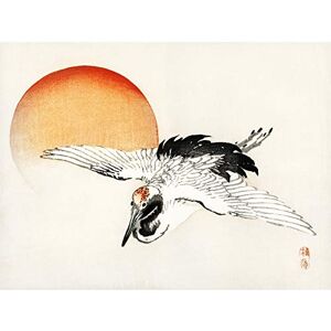 Wee Blue Coo Bairei Flying Egret Japanese Premium Wall Art Canvas Print 18X24 Inch Wee Blue Coo Bairei Flying Egret Japanese Premium Wall Art Canvas Print 18X24 Inch