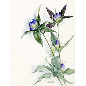 Wee Blue Coo Purple Watercolour Flowers Large Wall Art Print Canvas Premium Poster Wee Blue Coo Purple Watercolour Flowers Large Wall Art Print Canvas Premium Poster