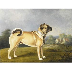 Fine Art Prints Chalon A Favourite Pug Dog Painting Large Print Poster Wall Art Decor Picture Fine Art Prints Chalon A Favourite Pug Dog Painting Large Print Poster Wall Art Decor Picture