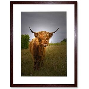 Wee Blue Coo Photo Farm Animal Highland Cow Calf Scotland Picture Framed Wall Art Print Wee Blue Coo Photo Farm Animal Highland Cow Calf Scotland Picture Framed Wall Art Print
