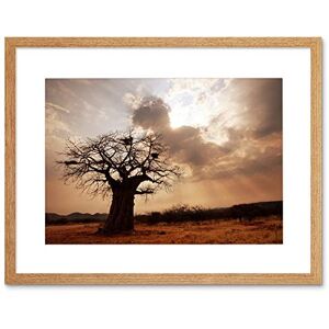 Wee Blue Coo Landscape Single Lone Baobab Tree Sunbeam Framed Wall Art Print Wee Blue Coo Landscape Single Lone Baobab Tree Sunbeam Framed Wall Art Print