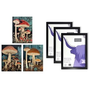 Artery8 Mushroom Wall Art Set of 3 A4 Sized Art with Black Frames Cep Fungi Paintings Forest Floor Earthy Calming Tones Botanical Aesthetic Artery8 Mushroom Wall Art Set of 3 A4 Sized Art with Black Frames Cep Fungi Paintings Forest Floor Earthy Calming Tones Botanical Aesthetic