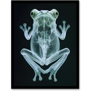 Artery8 Frog Teal Green Dark Luminescent Xray Effect Bathroom Toilet Artwork Framed Wall Art Print A4 Artery8 Frog Teal Green Dark Luminescent Xray Effect Bathroom Toilet Artwork Framed Wall Art Print A4