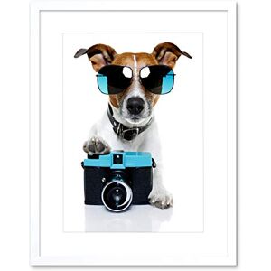 Wee Blue Coo Jack Russell Dog Shades Cameragrapher Picture Framed Wall Art Print Wee Blue Coo Jack Russell Dog Shades Cameragrapher Picture Framed Wall Art Print
