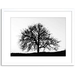 Wee Blue Coo Photo Tree Silhouette Black White Cool Stark Framed Wall Art Print Wee Blue Coo Photo Tree Silhouette Black White Cool Stark Framed Wall Art Print
