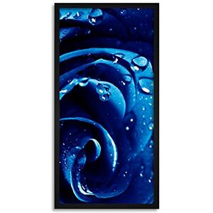 Wee Blue Coo Blue Rose Flower Petals Dew Long Panel Framed Wall Art Print Wee Blue Coo Blue Rose Flower Petals Dew Long Panel Framed Wall Art Print