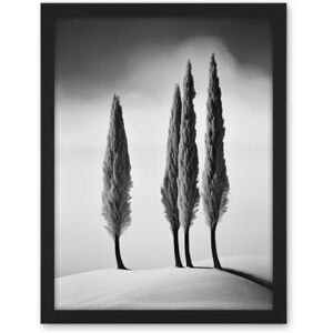 Artery8 Group of Cypress Trees on Snowy Hill Minimalist Black and White Photograph Cypresses in Foggy Winter Landscape Artwork Framed Wall Art Print 18X24 Inch Artery8 Group of Cypress Trees on Snowy Hill Minimalist Black and White Photograph Cypresses in Foggy Winter Landscape Artwork Framed Wall Art Print 18X24 Inch