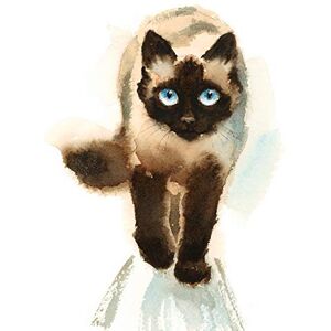 Wee Blue Coo Cat Ragdoll Walking Watercolour Unframed Art Print Poster Wall Decor 12x16 inch Wee Blue Coo Cat Ragdoll Walking Watercolour Unframed Art Print Poster Wall Decor 12x16 inch