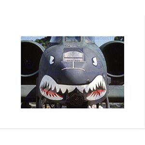 Wee Blue Coo Military Air Plane Fighter Jet Thunderbolt Nose Gun Shark Wall Art Print Wee Blue Coo Military Air Plane Fighter Jet Thunderbolt Nose Gun Shark Wall Art Print